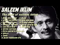 Download Lagu SALEEM IKLIM, The best of Saleem iklim Album Kenangan.