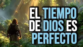 Trust in God, Everything Comes in Its Time, Don't Give Up - Christian Reflection