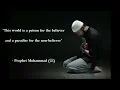 Download Lagu Taweel Al Shawq [Slowed + Reverb + Rain Sound] | 1-Hour Perfect Loop