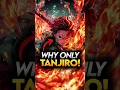Why Kamado Family was able to Learn Sun Breathing While Others FAILED in Demon Slayer