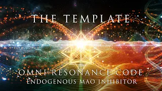 The Template - OMNI RESONANCE CODE