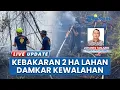 Download Lagu 2 Hektare Semak Belukar di Pelalawan Riau Dilalap Api, Damkar Kewalahan Padamkan Si Jago Merah