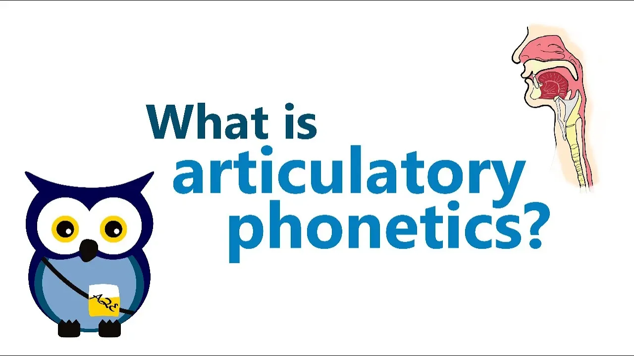 Articulatory Phonetics 1 - RE-UPLOAD IN HD