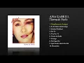 Ana Gabriel - Simplemente Amigos (Cover Audio)