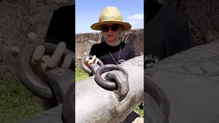 Exploring an old fort that has… four different times? 🇱🇰  #sailingfamily #srilanka