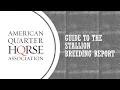 AQHA Stallion Breeding Report Guide