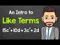 An Intro to Like Terms What are Like Terms in Algebraic Expressions Math with Mr J