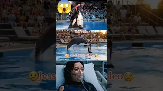 جيسيكا الدولفين الحقيقي تظهر Jessica Dolphin Real Appears 