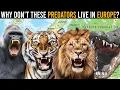 Why Aren t Crocodiles Big Cats Hyenas and Apes Found in Europe