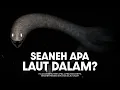 Download Lagu Bagaimana Keadaan Laut Dalam di Zaman Purba? | #BelajarDuniaPurba