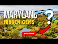 Maryland s Hidden Gems You Need to See Wild Horses Secret Caves Epic Coast-to-Mountains Trip