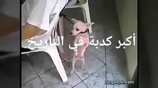 سلوكية هو هو  سلوكية هو هو