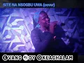 Lagu Site na nsogbu uwa (Cover)