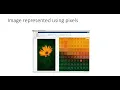 How Images Become Digital Sampling Quantization Explained