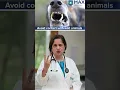 Lagu What are 3 ways to prevent rabies in humans? | Max Hospital