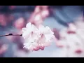 Download Lagu Surah Ar Rahman recited beautifully by Mishary Rashid Alafasy :audio