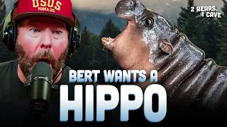 Bert Wants A Pet Pygmy Hippo | 2 Bears, 1 Cave Highlight