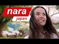 Download Lagu 3 days in Nara 🇯🇵 Beyond the Deer 🦌 \u0026 Temples ⛩️