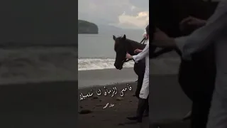أنشوده نصيبي التقاكي نصيبا جميلا أحمد سمير 