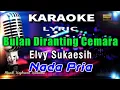 Download Lagu Bulan Diranting Cemara - Nada Pria Karaoke Tanpa Vokal