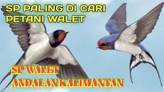 Download SP WALET PALING DI CARI PETANI WALET RESPON AWET JOSS WALET KERUMUNAN MP3