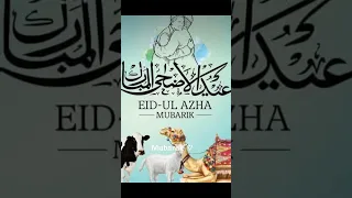 The Final Day Of Eid Eid Mubarak Eid Eid Foryou Viralvideo Barastudio 5Bviews Eidi 