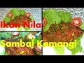 Download Lagu Resep Praktis : NILA SAMBAL KEMANGI