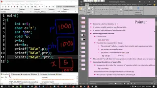 void datatype in C