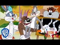 Download Lagu Looney Tuesday | Surprising Duo: Bugs Bunny \u0026 Tazmanian Devil | Looney Tunes | WB Kids