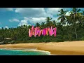 Danny Ocean - Vitamina (Visualizer)