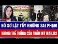 Lagu Hồ sơ lật tẩy những sai phạm không tưởng của thẩm mỹ Mailisa