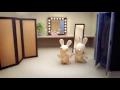 Download Lagu Meet the Rabbids [INT]