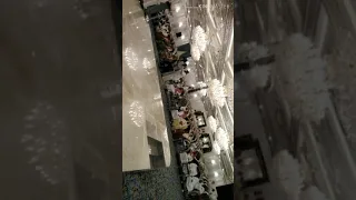 شيلة الحنيطي دندنها