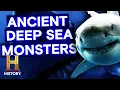 Massive Shark Could Be a Living Megalodon Season 7 The UnXplained History