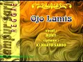 Campur Sari Reggae Karaoke - Ojo Lamis - Rony