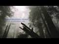 Hold Your Head Up High - Darlingside (Lyrics)