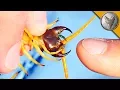 BITTEN by a GIANT DESERT CENTIPEDE