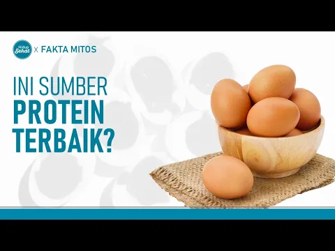 Benarkah Telur Sumber Protein Terbaik? Ini Kata Dokter