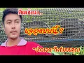 Download Lagu 💥ตื่นเช้ามา..“บ่าวเอก”ถึงกับขนลุกเลย.!เมื่อเจอแบบนี้.?