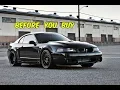 Watch This BEFORE You Buy an SVT Terminator Cobra