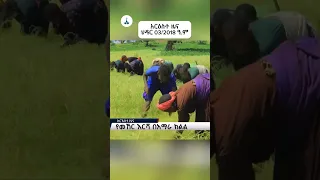 አርዕስተ ዜና ህዳር 03 2018 ዓ ም ETV EBC EBCDOTSTREAM 