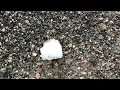 Lots of Hail in Chisholm MN