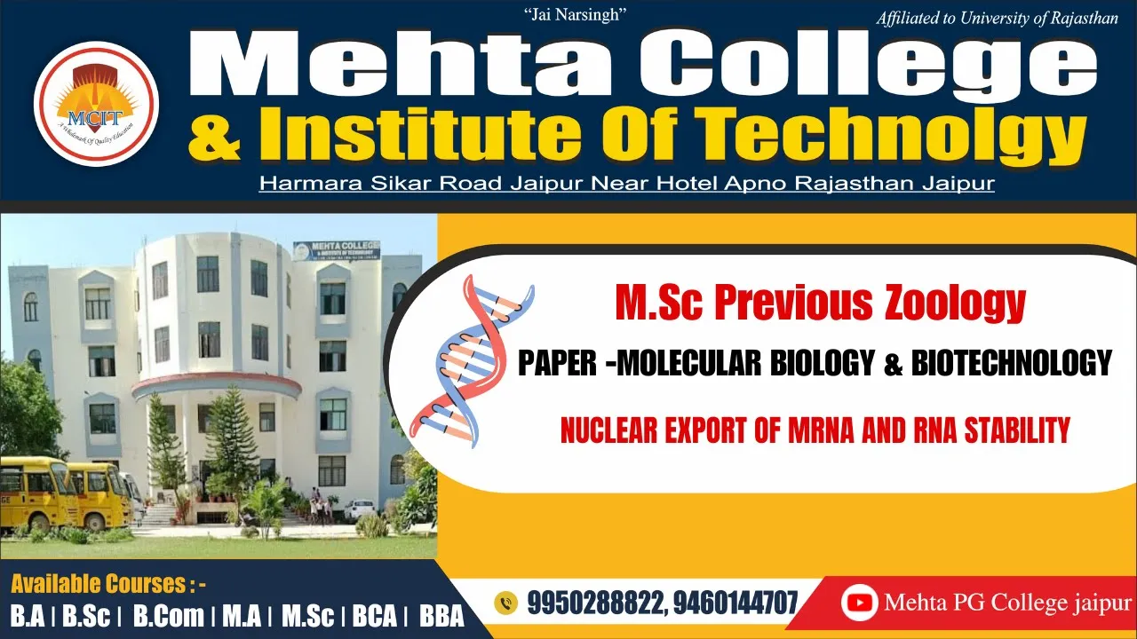MSC PRE ZOOLOGY MOLECULAR BIOLOGY - NUCLEAR EXPORT OF MRNA AND RNA STABILITY