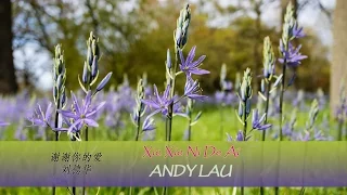 Download Xie Xie Ni De Ai lyrics - Andy Lau (Pinyin + English translation) Learn Chinese by songs MP3