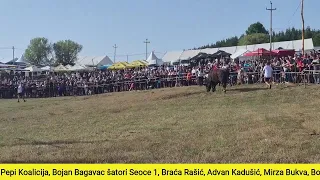 Uživo Manjača Teška kategorija