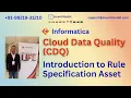 Informatica Cloud Data Quality CDQ Introduction to Rule Specification Asset
