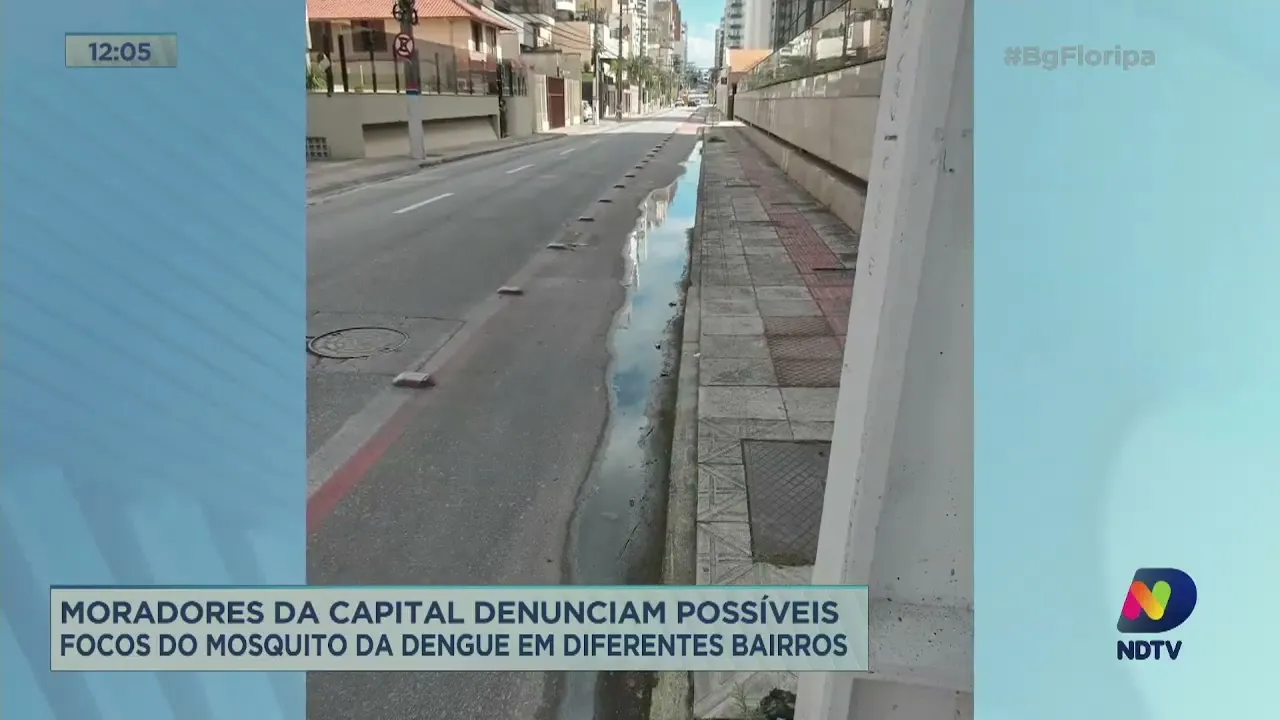 Capital: Moradores denunciam possíveis focos do mosquito da dengue em diferentes bairros