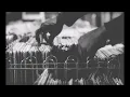 9th wonder - The Righteous Way To Go (HD)