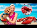 Lobster ATTACKED my DOG will he be OKAY