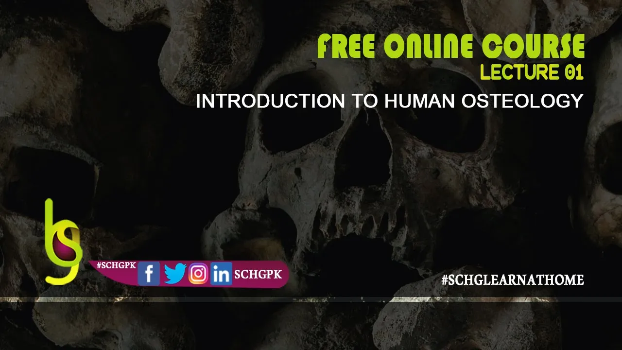 Introduction to Human Osteology  | Lecture 01 | SCHG_FOC22_IHO | Biological Anthropology | Forensic